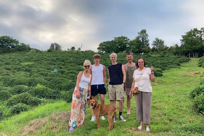 1,5 Hours Tea House and Tea Garden Trip in Ozurgeti Georgia - Why this Ozurgeti tea visit feels different