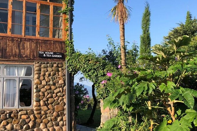1,5 Hours Tea House and Tea Garden Trip in Ozurgeti Georgia - Who should book this experience?