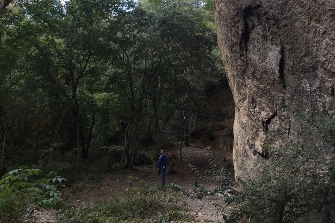 1 day hiking in Birtvisi Canyon from Tbilisi - Key points to know before booking