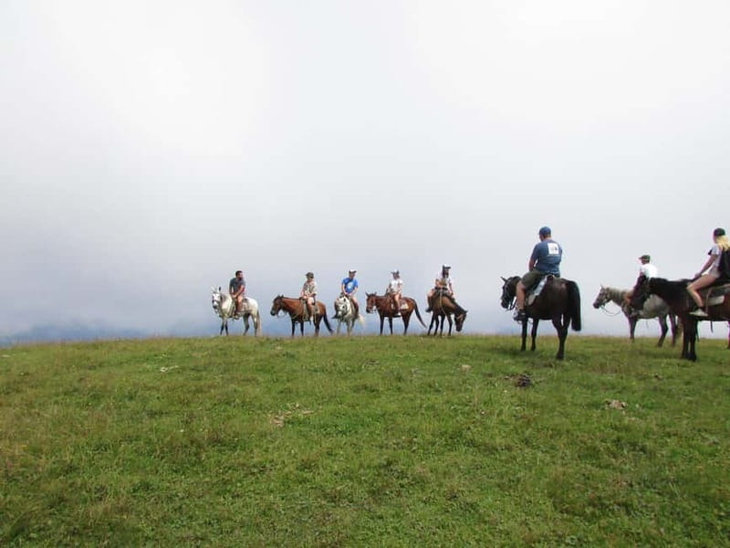 1 Day Horse Riding Adventure in Borjomi Mountains - Key Points Before You Book