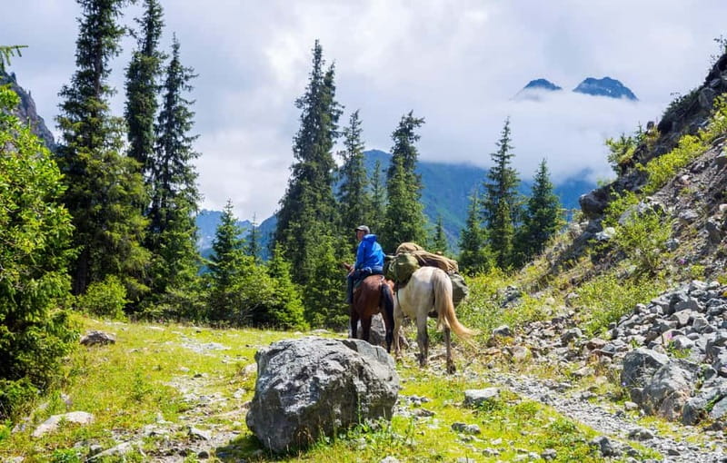 1 Day Horse Riding Adventure in Borjomi Mountains - Leaving Tbilisi for Likani