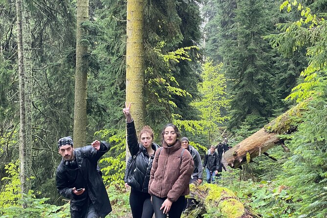 13 km hike in Borjomi - Group tour from Kutaisi - Key points at a glance