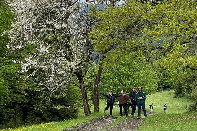 13 km hike in Borjomi - Group tour from Kutaisi - Lunch is your responsibility