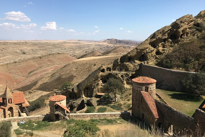 2 Days Private Organic Wine Tour to Kakheti Region via Rustavi and David Gareja - Organic Wine at Cradle of Wine or Okro’s Winery