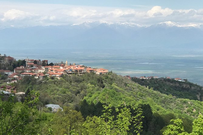 2 Days Private Organic Wine Tour to Kakheti Region via Rustavi and David Gareja - Khareba’s Tunnel Cellar and Churchkhela Class