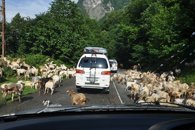 3-Day Svaneti Hiking Tour - Day two: Off-road travel to Ushguli