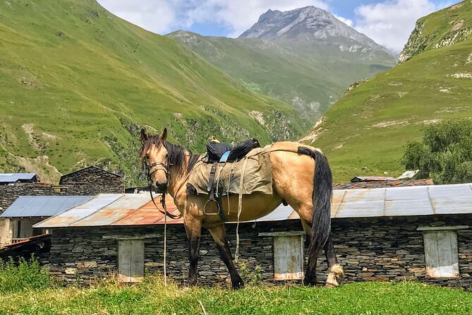 3 Day Tusheti Tour Explore Unspoiled Wilderness - Crossing Georgia’s highest motorable pass