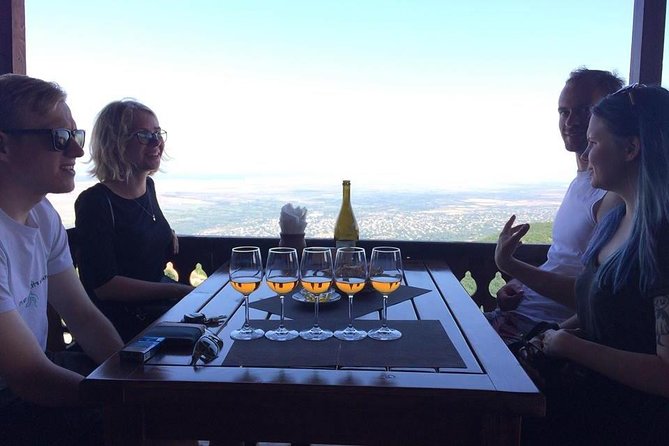 3 Organic Wineries Private Day Trip to Wine Province With Lunch and Tastings - Guides can make or break the day