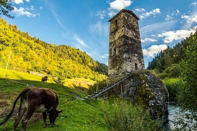 4-Day Tour in Svaneti - Mestia/Ushguli - Mestia’s towers and a slower evening