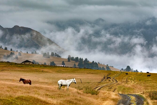 4 Days 3 Nights Tour to Tusheti with Hiikes - Key points to know before you book