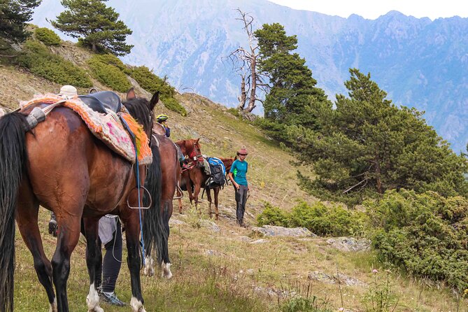 5-Day Horse Riding Tour in Caucasus - Why this five-day route feels different