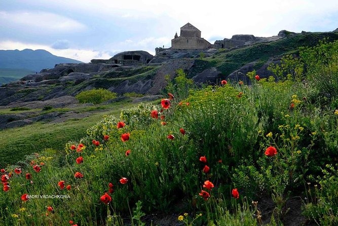 6-Day Tour to Georgia from Tbilisi. Cultural Heritage - Who should book this six-day route?