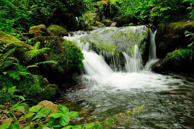 Adjarian Mountains Waterfalls Wine Tour Best views from Batumi Kobuleti - Is $238.28 a Fair Price?