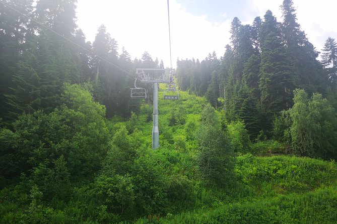 Amazing Trip to Svaneti - 7 days for 1-4 person - Day 7: Stalin’s birthplace and the caves of Uplistsikhe