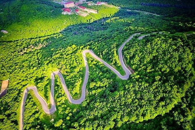 Armenia Day Trip from Tbilisi: Private Experience - Two hours in Dilijan National Park