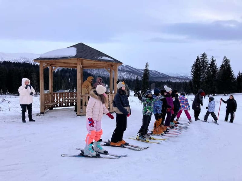 Bakuriani: Private or group Ski Lesson - Key points to know before you book