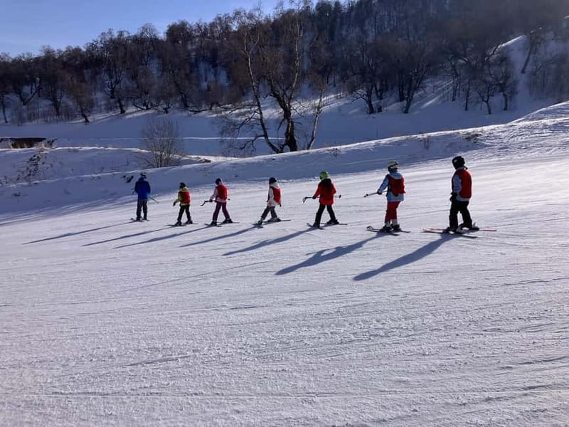 Bakuriani: Private or group Ski Lesson - The first one-hour class
