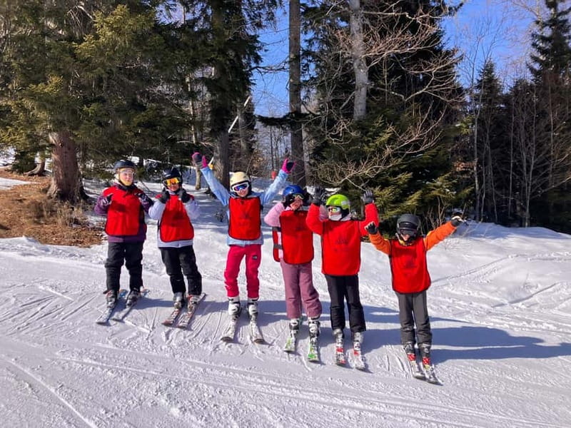 Bakuriani: Private or group Ski Lesson - Meeting at Didveli and riding up