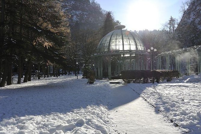 Bakuriani ski resort and the legendary Borjomi (Group Tour) - Borjomi Central Park and the taste of mineral water