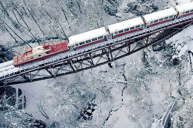 Bakuriani ski resort and the legendary Borjomi (Group Tour) - Five hours among Bakuriani’s snowy pines