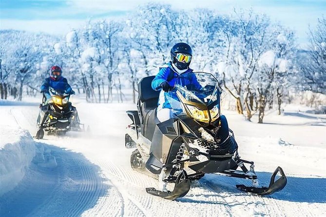 Bakuriani Ski Resort Private Day Tour from Tbilisi Snow Adventure - Three Hours at Bakuriani Ski Resort