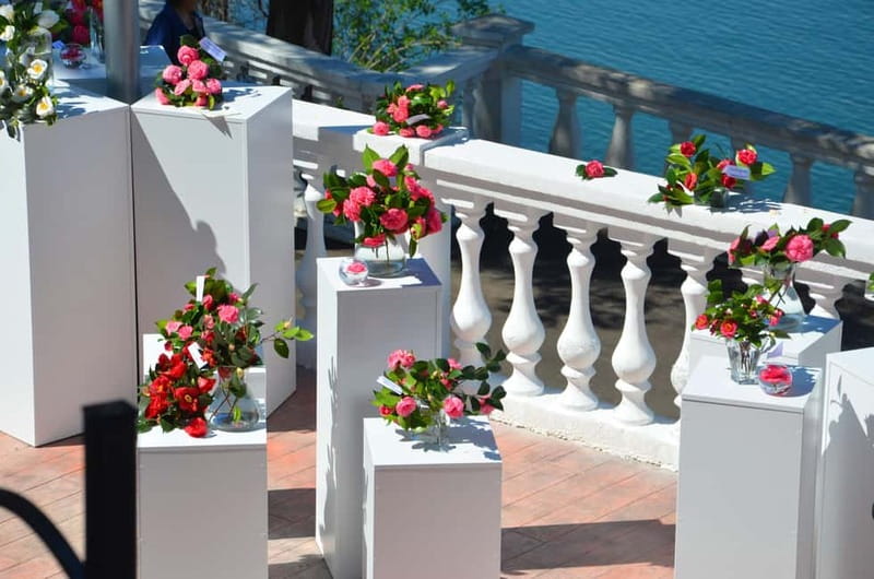 Batumi: Botanical Garden, Petra Fortress and Miniatures Park - Why this half-day trip works so well