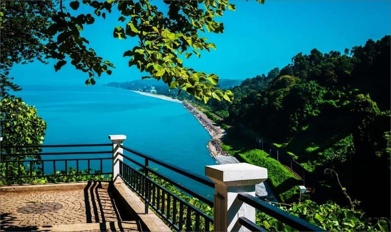 Batumi: Exploring Botanical Garden + Family Wine Tasting - Why this Batumi half-day works well