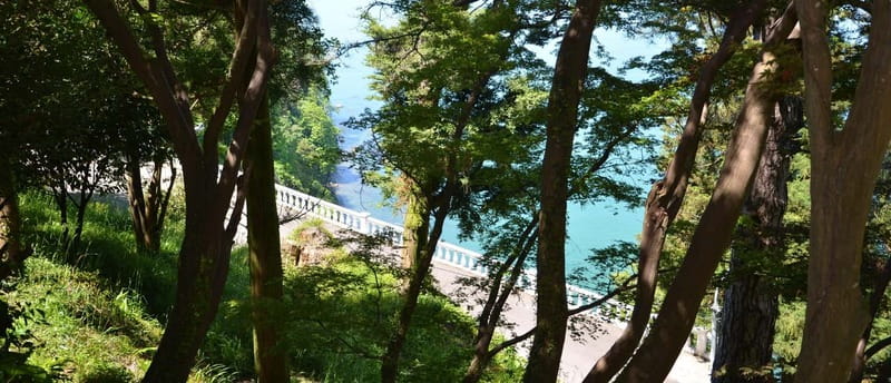 Batumi: Exploring Botanical Garden + Family Wine Tasting - Private group benefits and limits