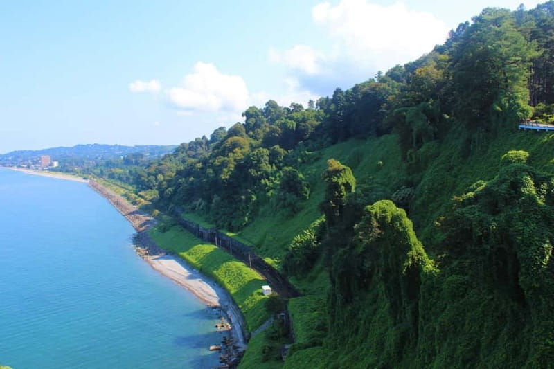 Batumi: Exploring Botanical Garden + Family Wine Tasting - Booking and cancellation details to keep in mind