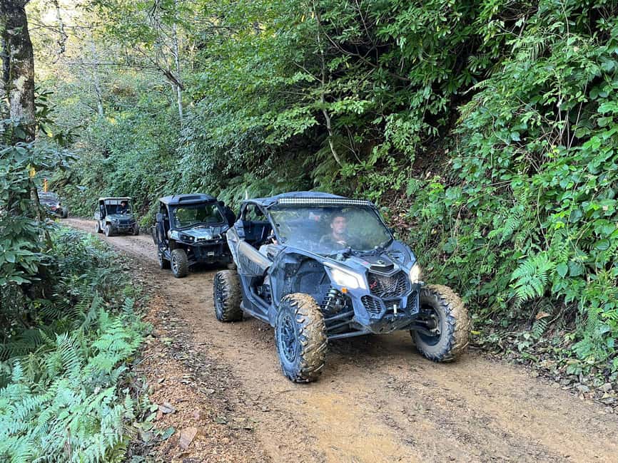 Batumi: Mtirala ATV, Buggy Maverick & Horse Riding Adventure - Mtirala’s wet forest and mountain water