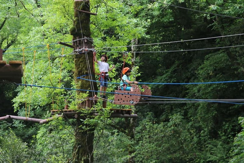 Batumi to Mtirala National park - Half day hiking group tour - The guide can shape the whole afternoon