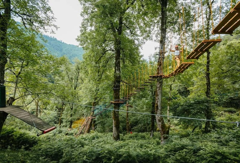 Batumi to Mtirala National park - Half day hiking group tour - Who should book this hike?