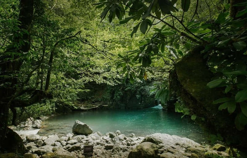 Batumi to Mtirala National park - Half day hiking group tour - Leaving Batumi at 14:00