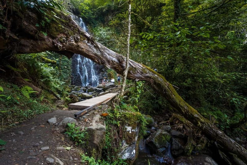 Batumi, Waterfalls & Folklore - group tour from Kutaisi - The Road Through Batumi and the Adjaristskali Valley