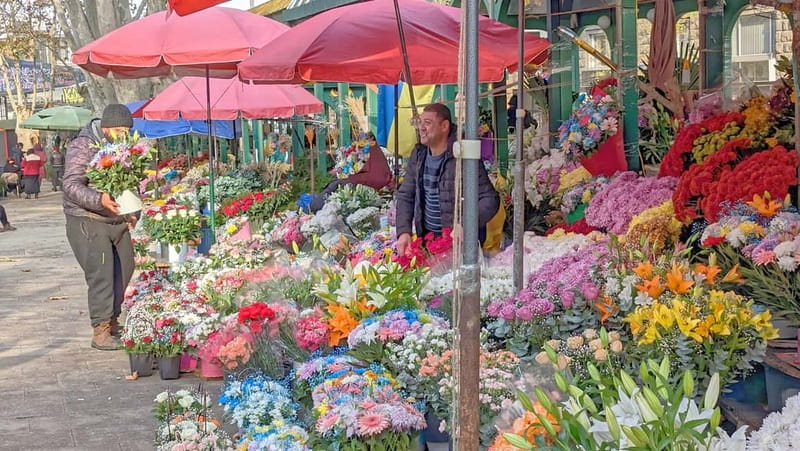 Beyond the Old City: Tbilisi's Hidden Gems Walking Tour - Why this side of Tbilisi deserves your time