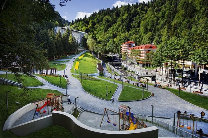 Borjomi Mineral Waters Tour From Tbilisi - What the private guide and driver change