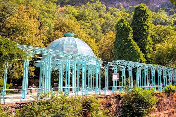 Borjomi National Park Full Day Private Tour From Tbilisi - Borjomi Central Park and the mineral spring