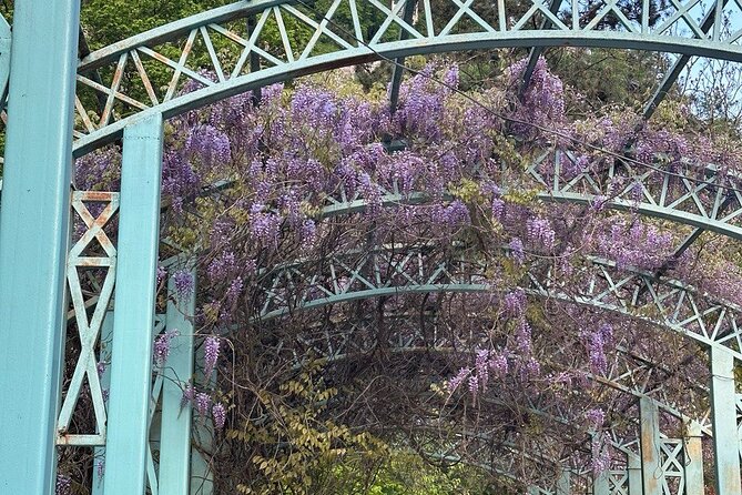 Borjomi Nature Wonderland Guided Tour from Tbilisi - Tsemi village: high views and fresh mineral water