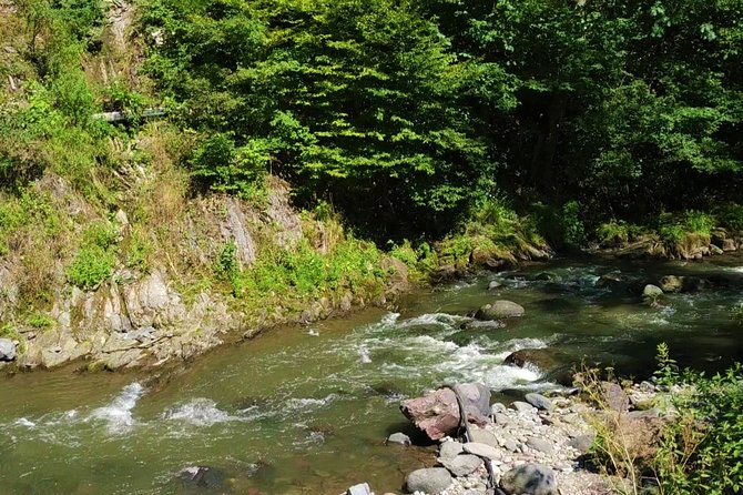 Borjomi Tour from Tbilisi with Bakuriani Resort and Soviet Train Ride - Key points to know before booking