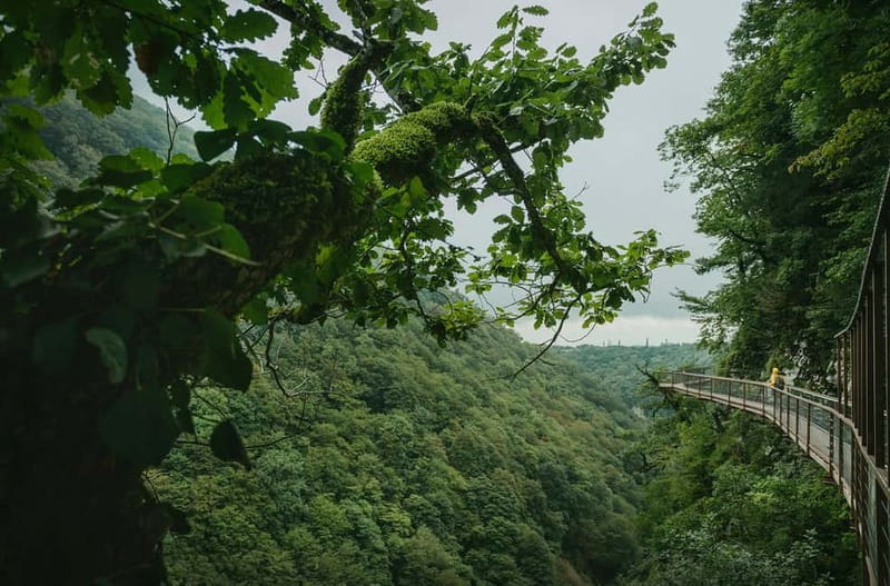 Canyons and Cave tour from Kutaisi - Okatse Canyon: bridges, views, and a choice of effort