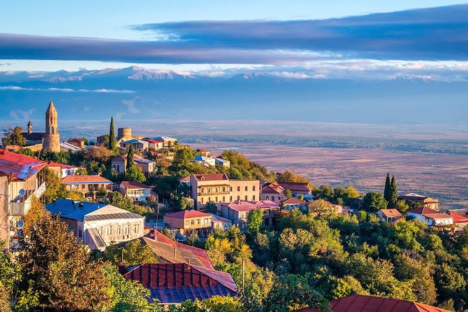 David Gareja, Kakheti and Signagi city of love One Day Tour - Who should book this experience?