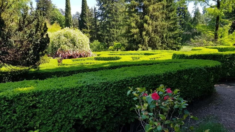 Day trip in Kakheti-Beauty and Love in a Glass Wine - Sighnaghi, the city of love