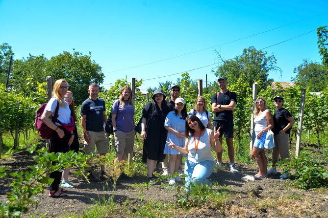 Day Trip to Kakheti Wine Region Including 9 Wine Tastings - KTW Winery and the final five pours