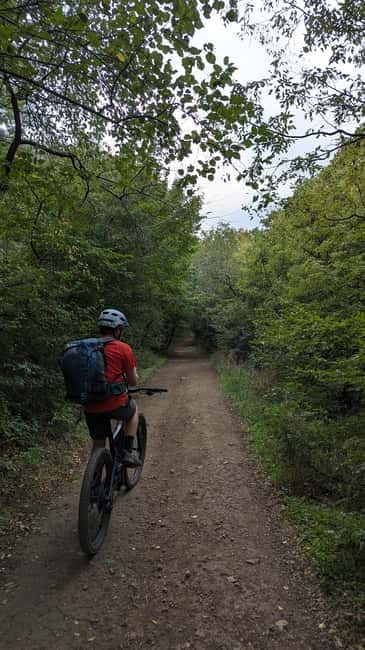 Electric Mountain Biking around Tbilisi - Should you book Electric Mountain Biking Around Tbilisi?