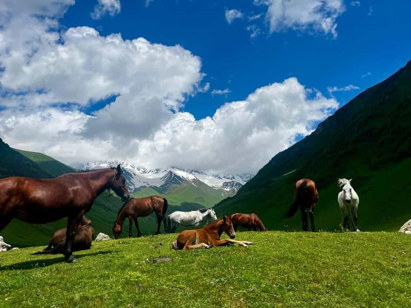 From Kutaisi: Svaneti Mountain Villages 2-Day 4x4 Safari - Should you book it?