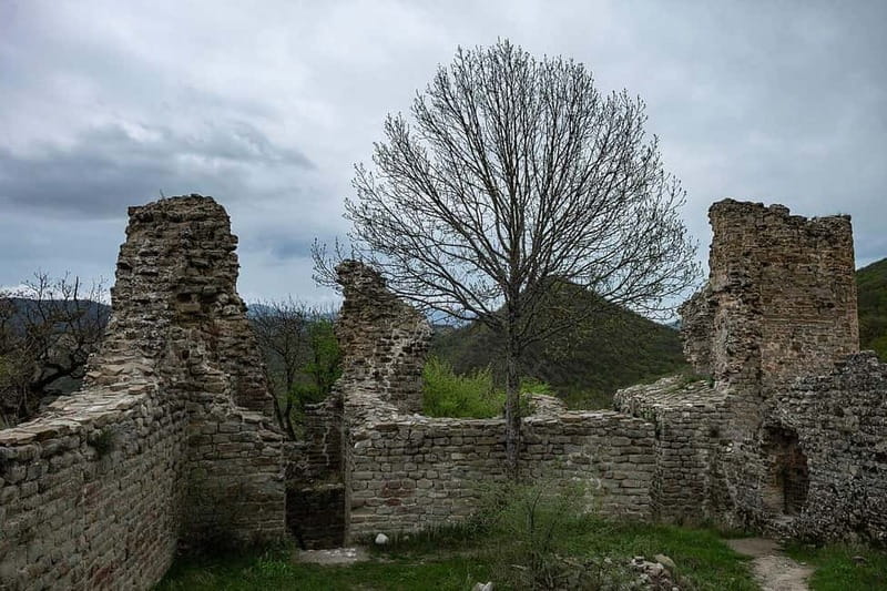 From Tbilisi: Bodbe, Sighnaghi and Telavi Day Trip - Why Kakheti makes a fine day from Tbilisi