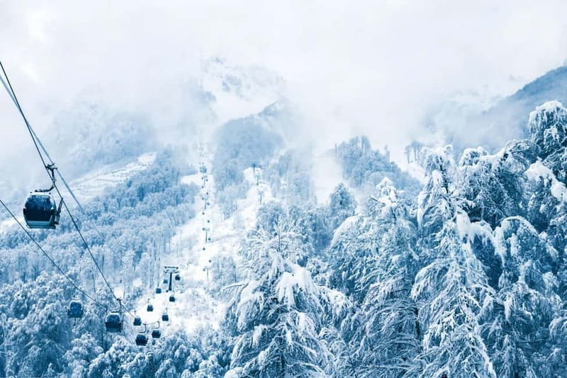 From Tbilisi: Borjomi and Bakuriani Ski Resort Private Tour - Key points to know before you book