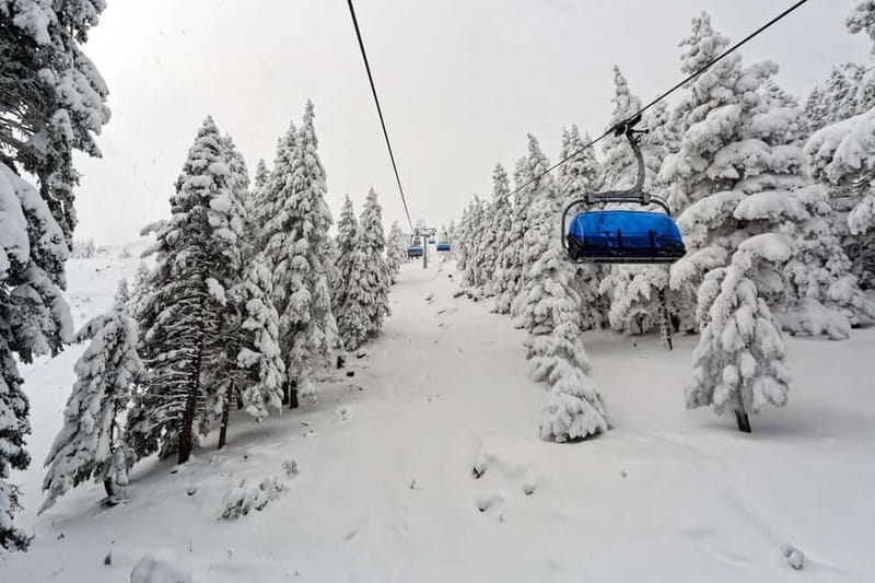 From Tbilisi: Borjomi and Bakuriani Ski Resort Private Tour - The mountain road to Bakuriani