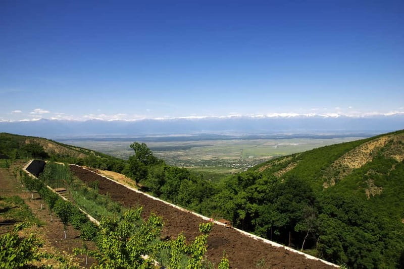 From Tbilisi: Kakheti & Sighnaghi Guided Day Trip with Wine - Leaving Tbilisi for Manavi