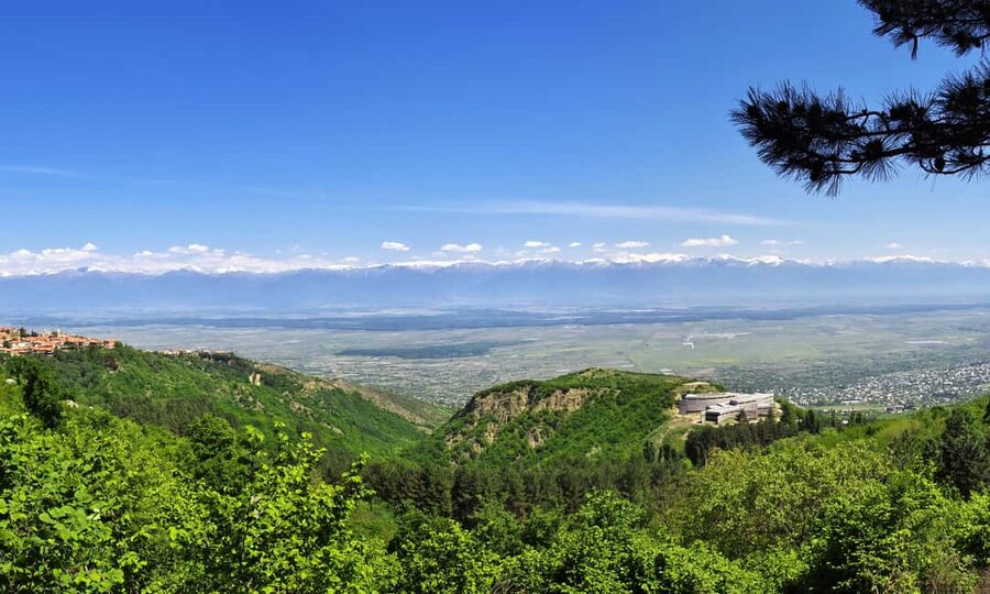 From Tbilisi: Kakheti Wine Region Tour with 9 Wine Tastings - The family winery explains Georgia’s qvevri tradition